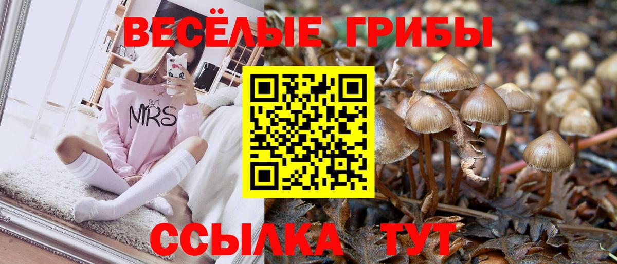Гагарин  Псилоцибиновые грибы MAGIC MUSHROOMS  Псилоцибиновые грибы GOLDEN TEACHER  Вход с VPN 
